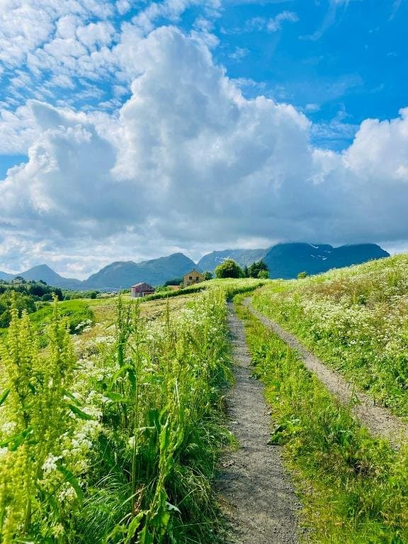 Skjerpveien i Bøstad