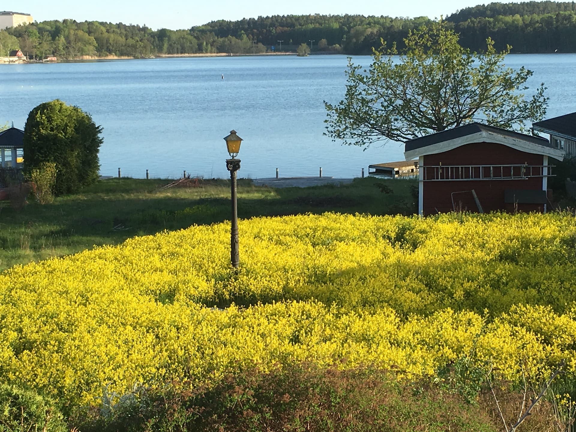 Älta strandväg i Älta