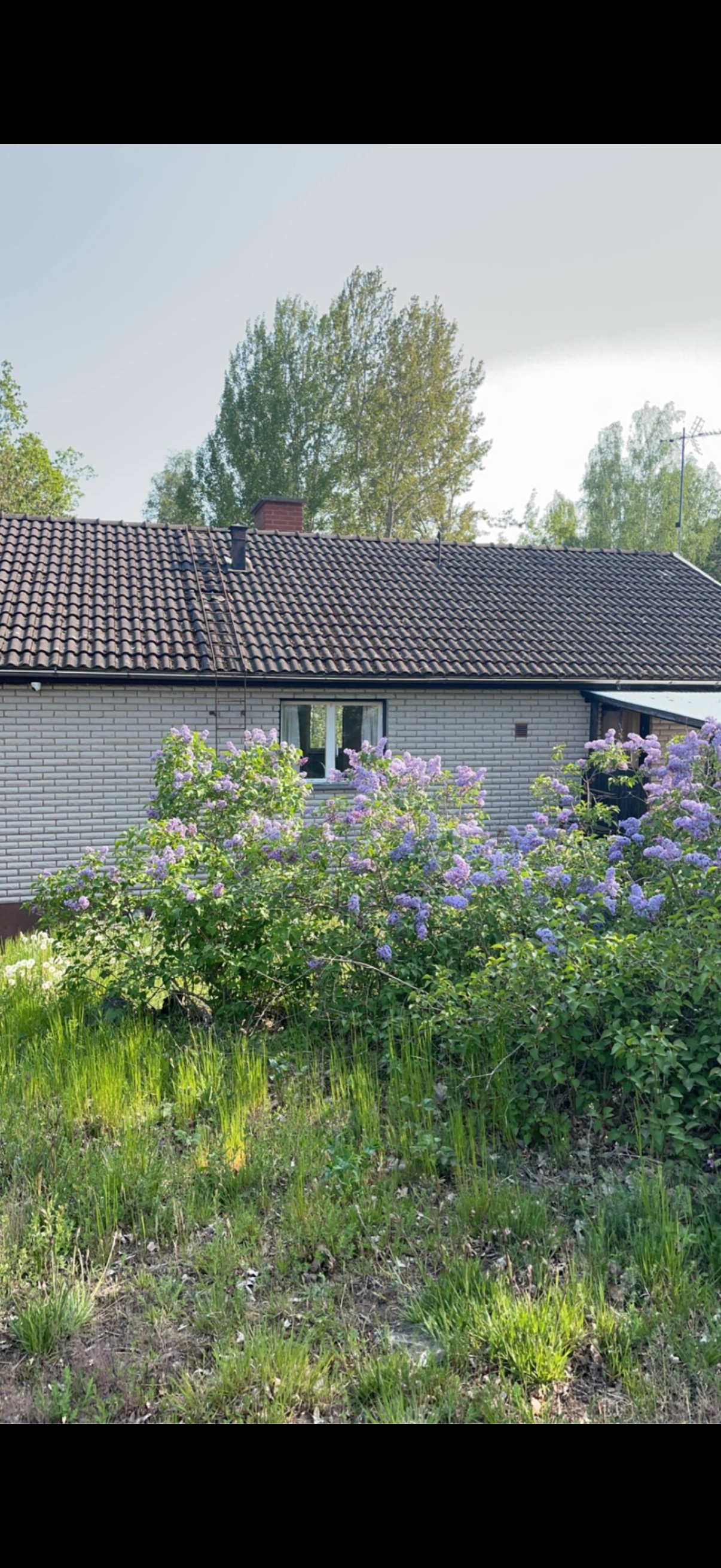 Sturegatan i Oskarshamn