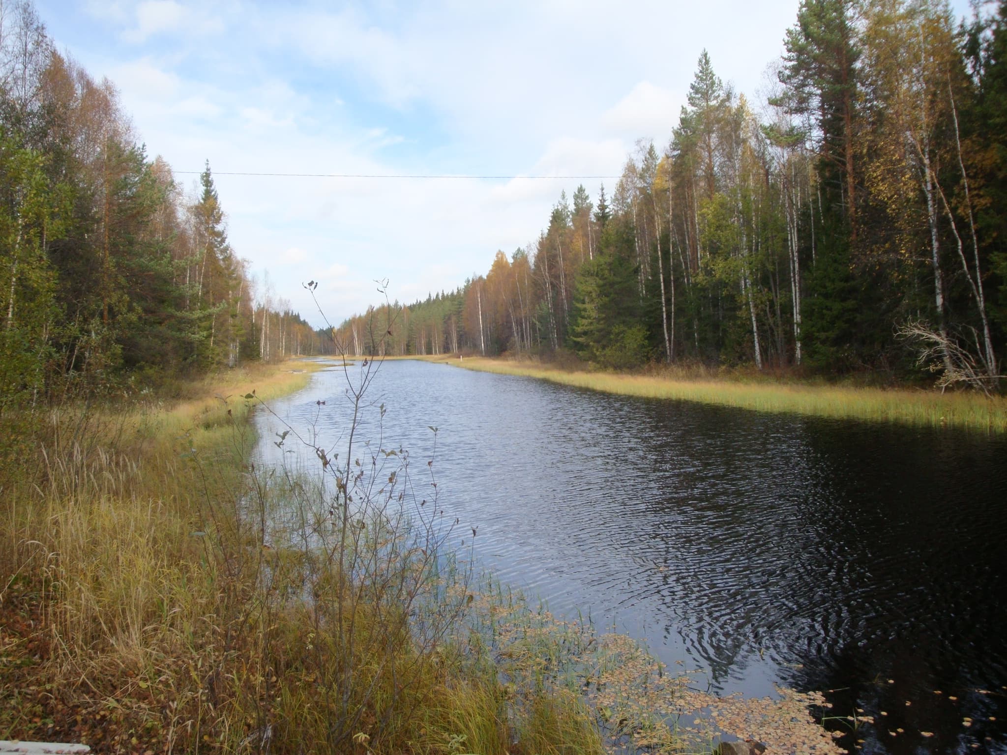 Papinniementie i Ylöjärvi