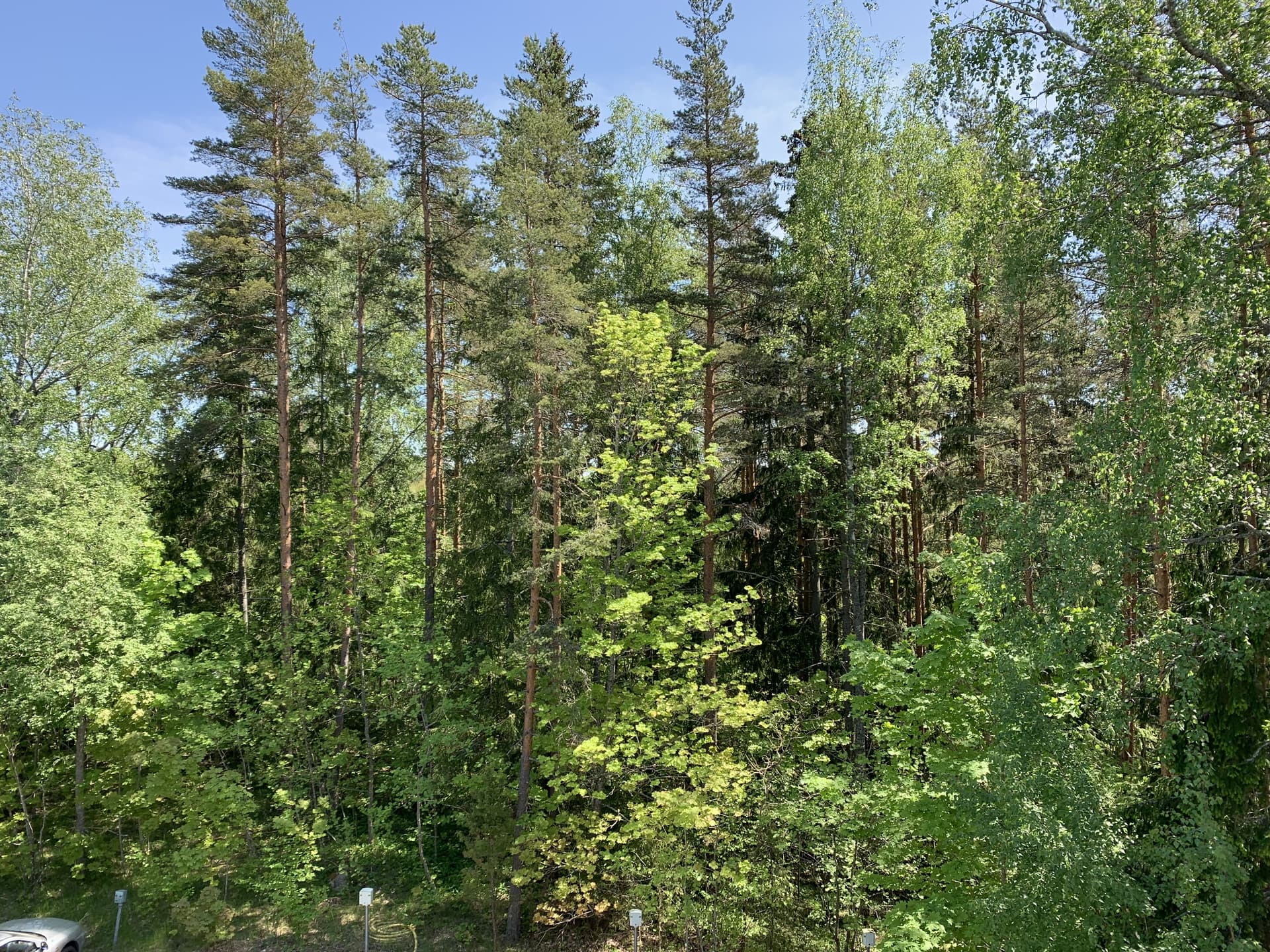 Paloniementie i Lohja