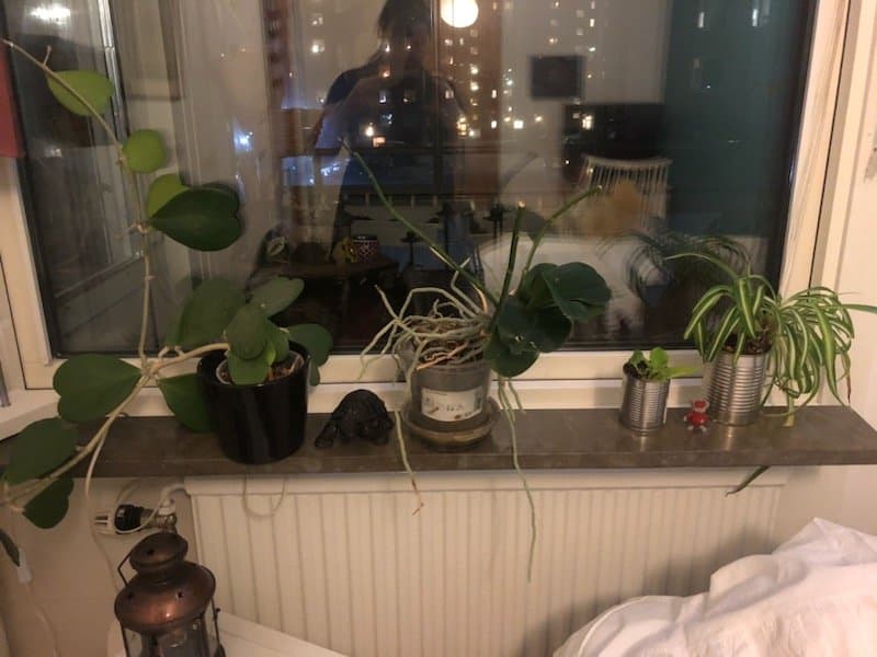 Skäpplandsgatan i Göteborg