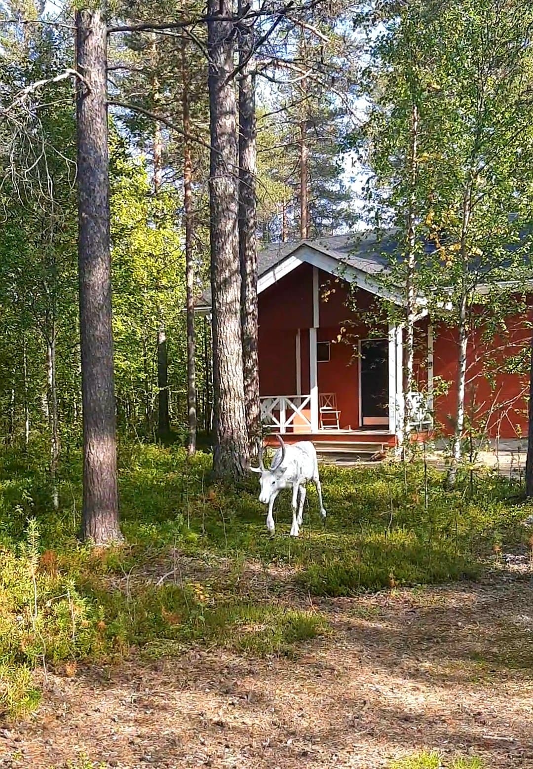 Aihkitie i Äkäslompolo