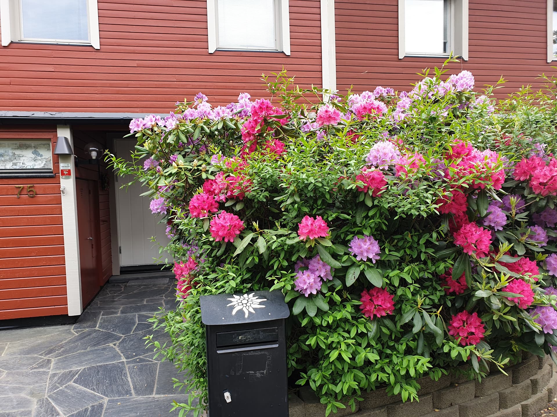 Älvdalsvägen i Hässelby
