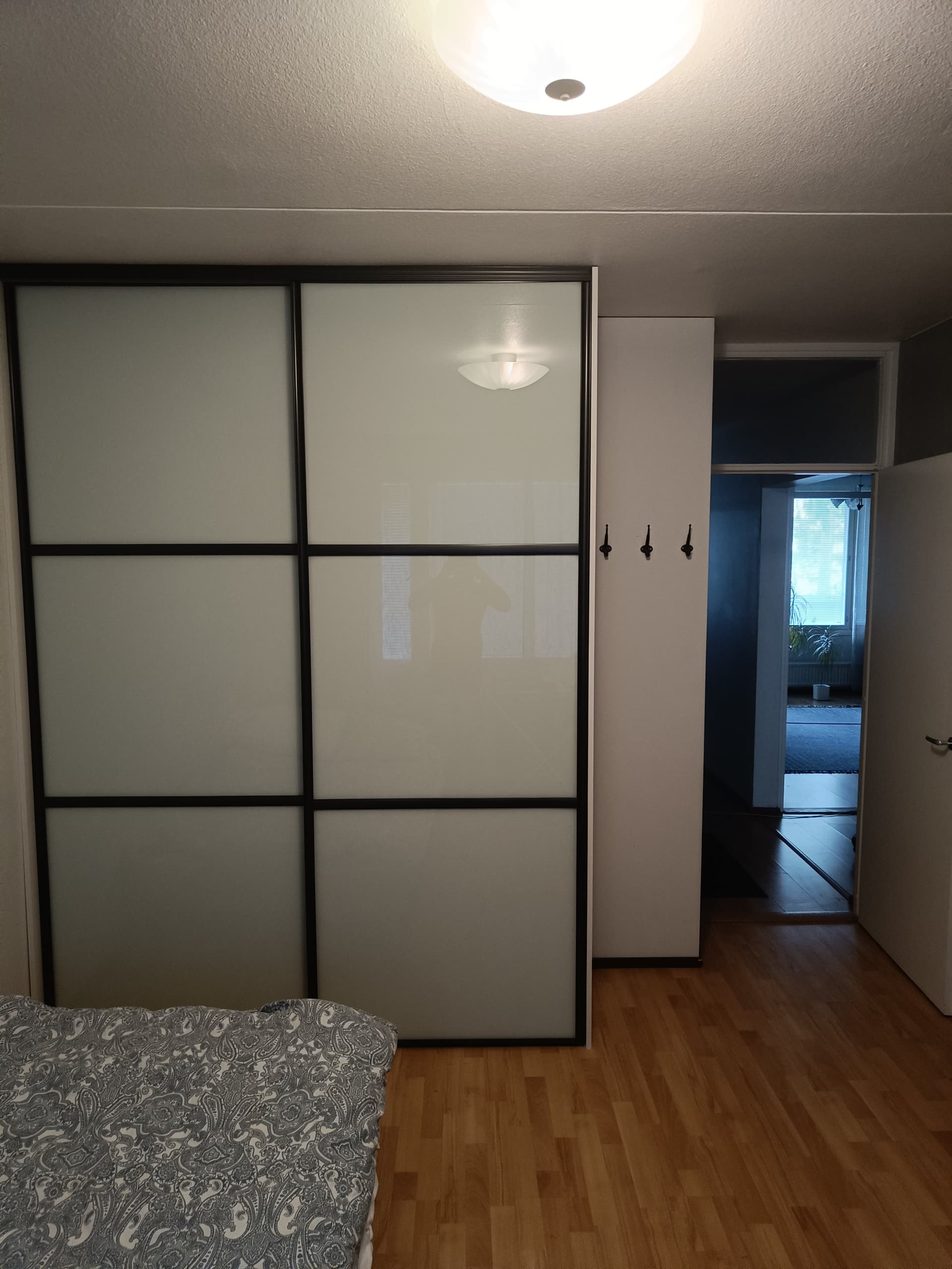 Virsutie i Vantaa