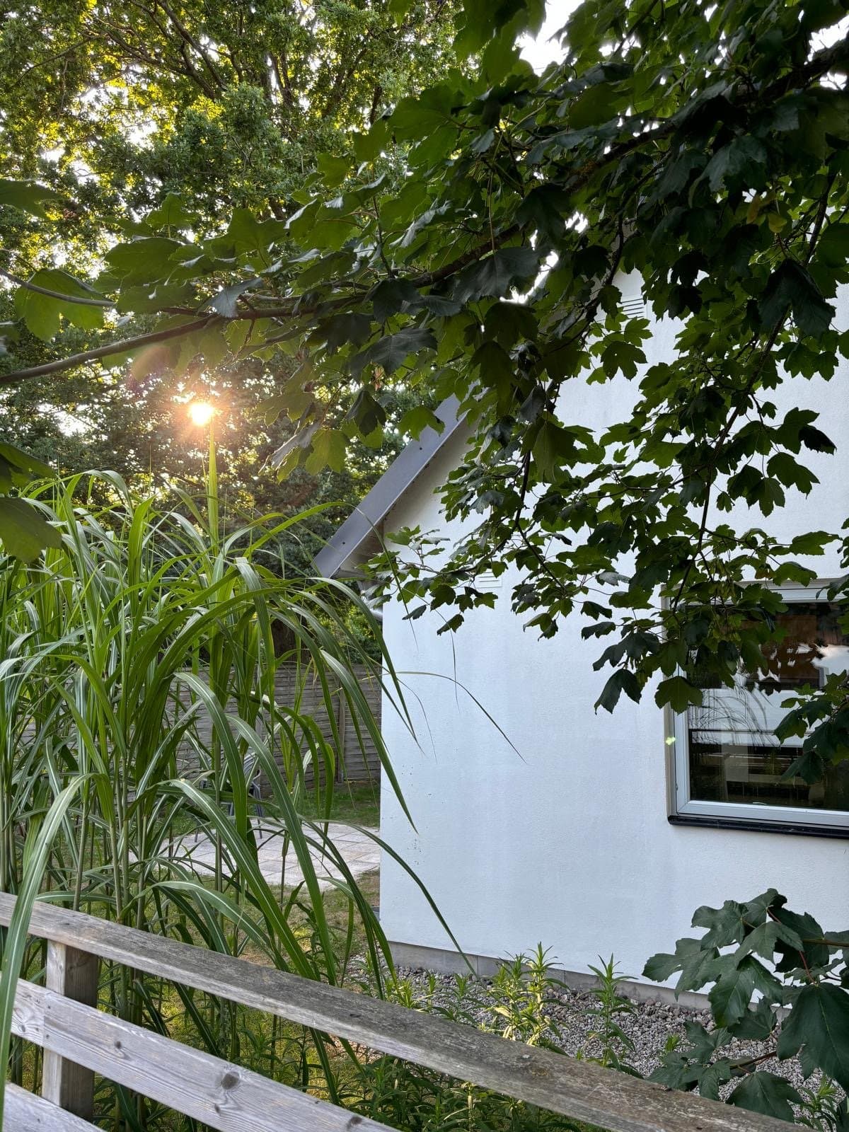Högastensvägen i Abbekås