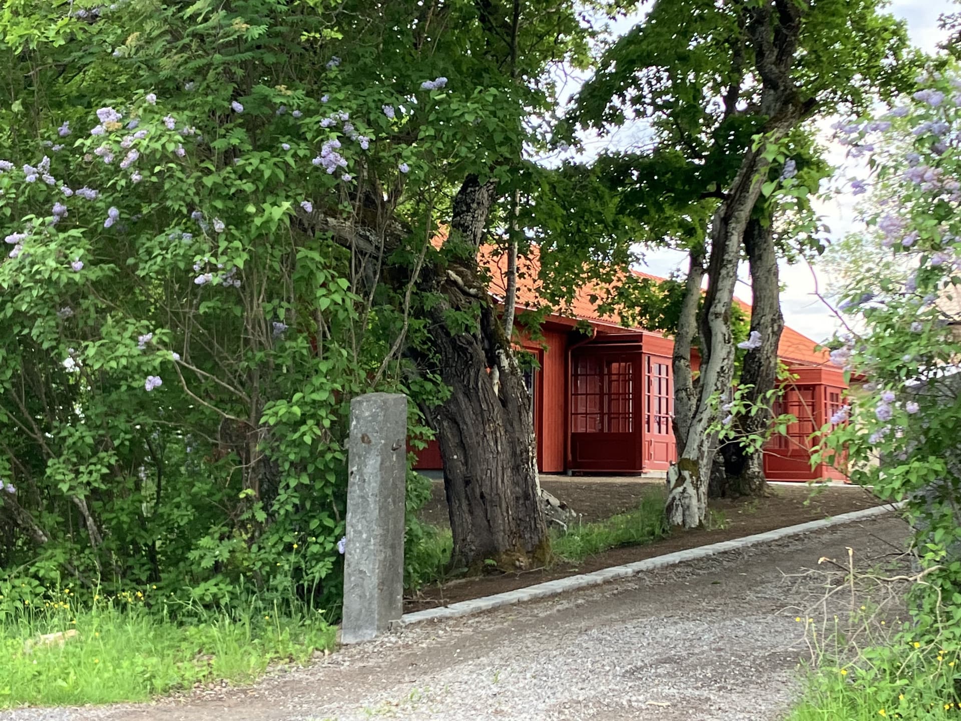 Hinsnoret i Falun