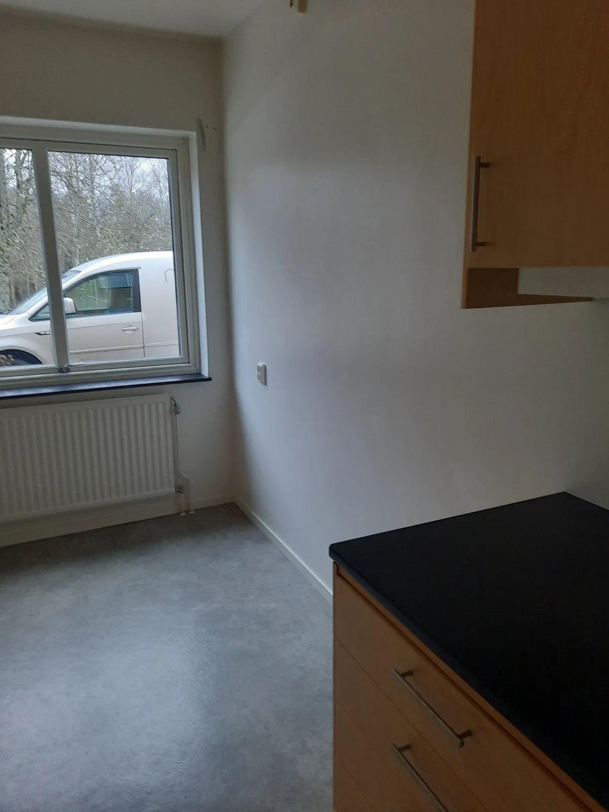 Björkvägen i Kosta