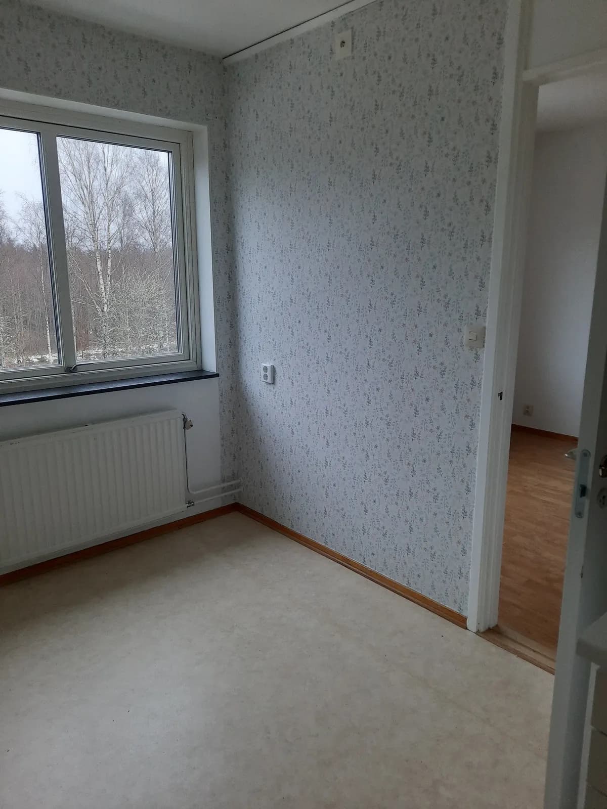 Björkvägen i Kosta
