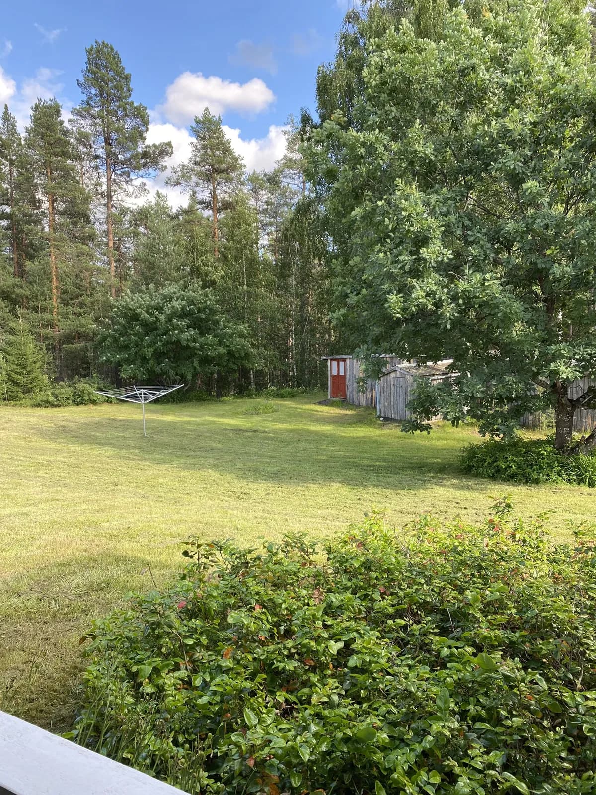 Ripstigen i Långviksmon