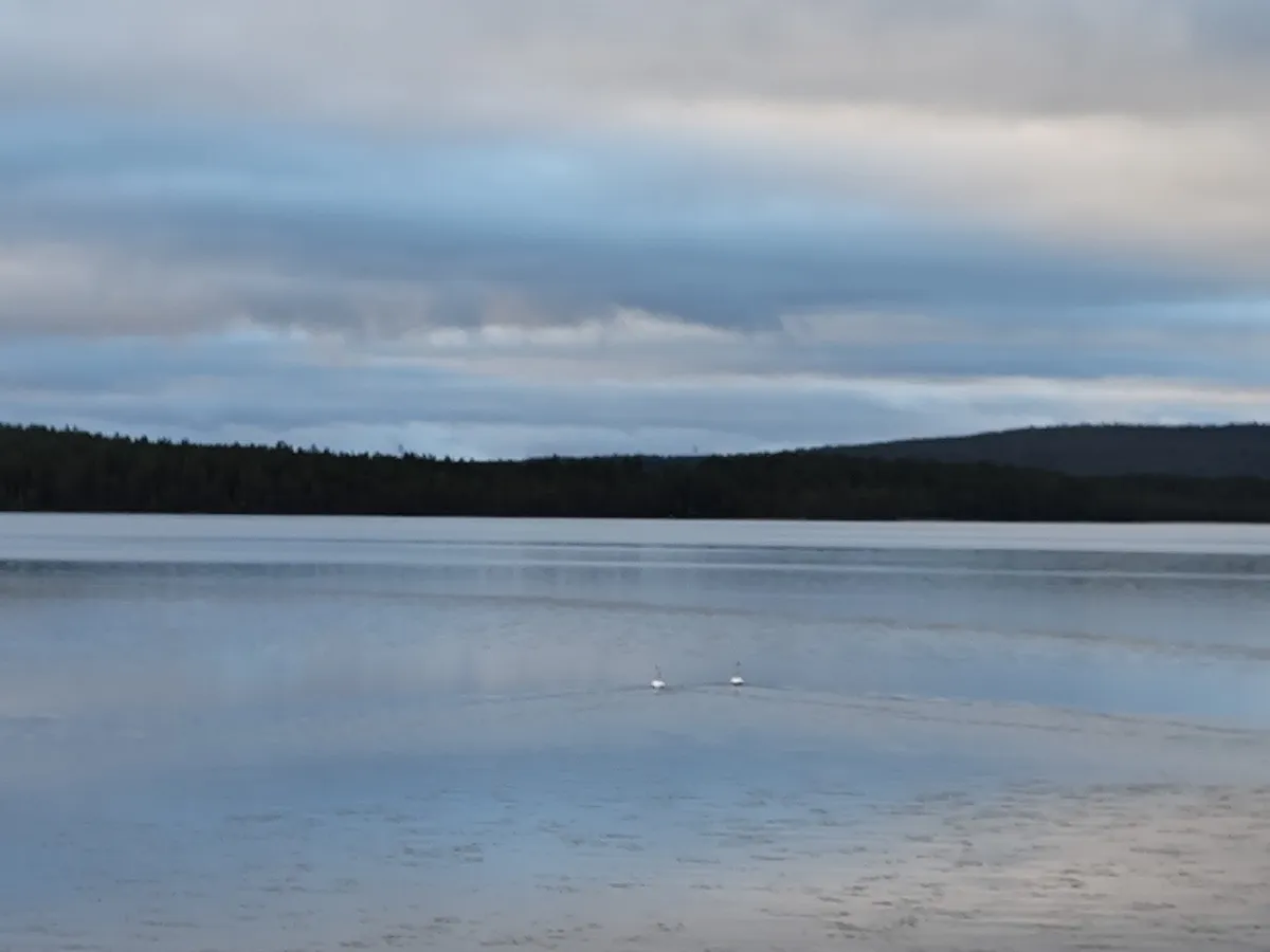 Tårrajaur i Jokkmokk