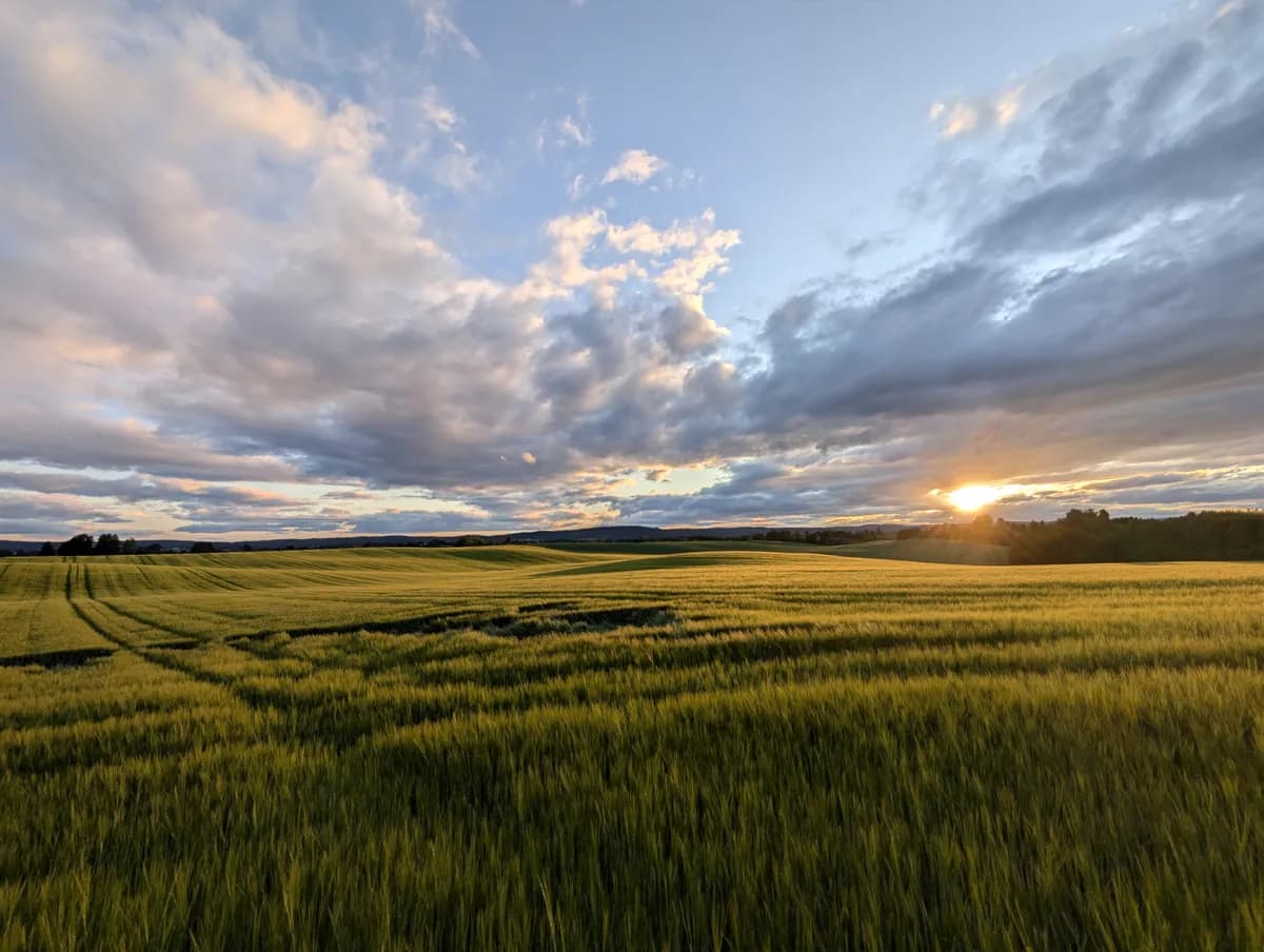 Krokfossvegen i Jessheim
