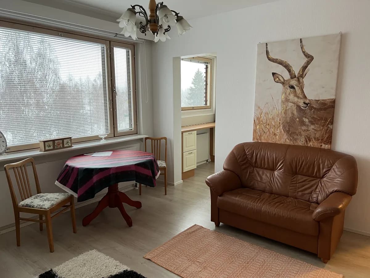 Väinämönkatu i Äänekoski