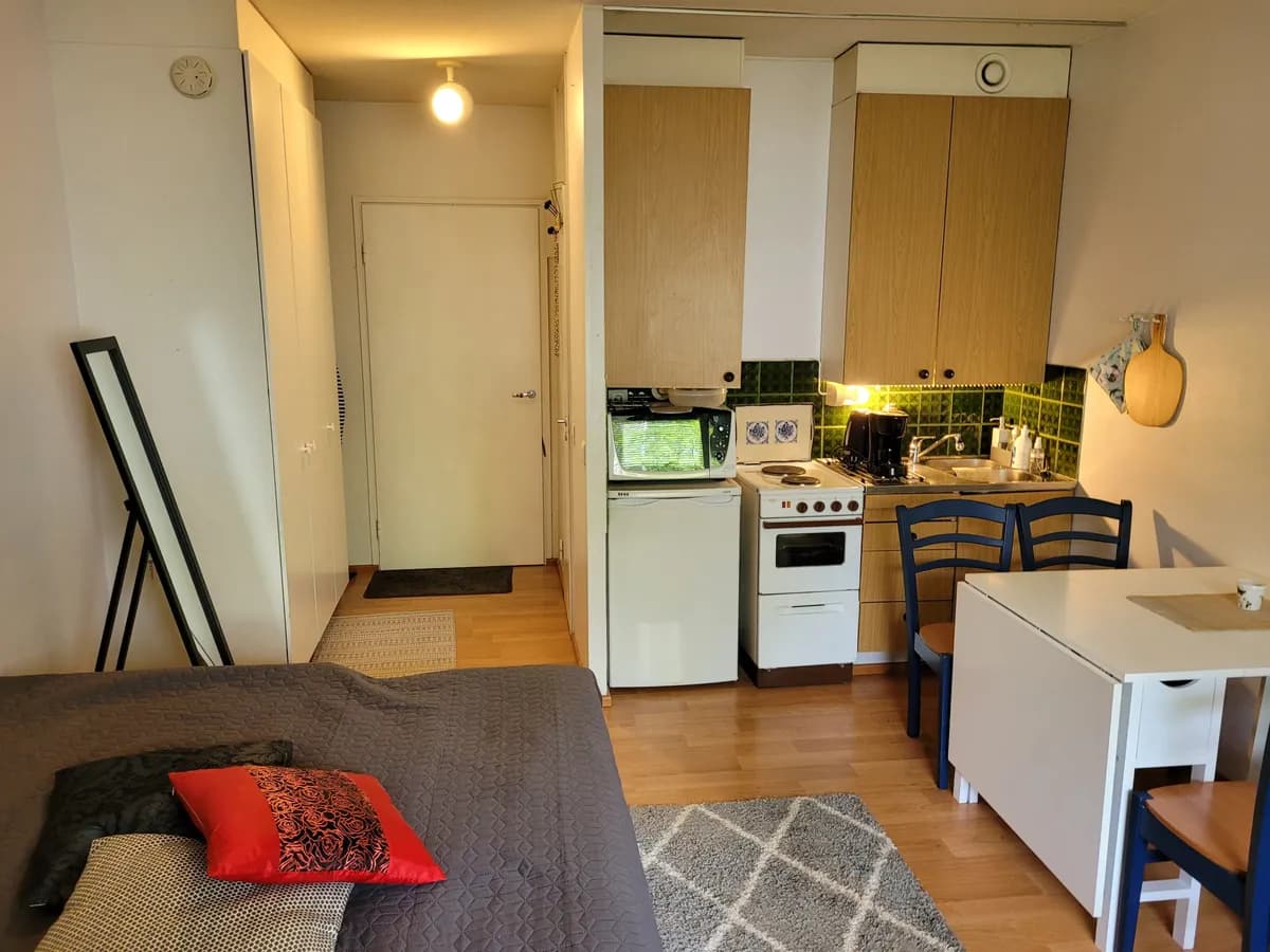 Snellmaninkatu i Äänekoski