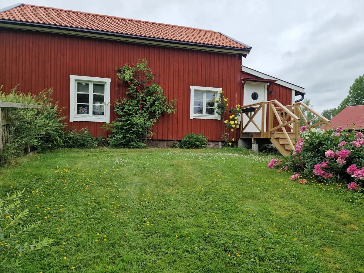 Blomsätter i Kolmården