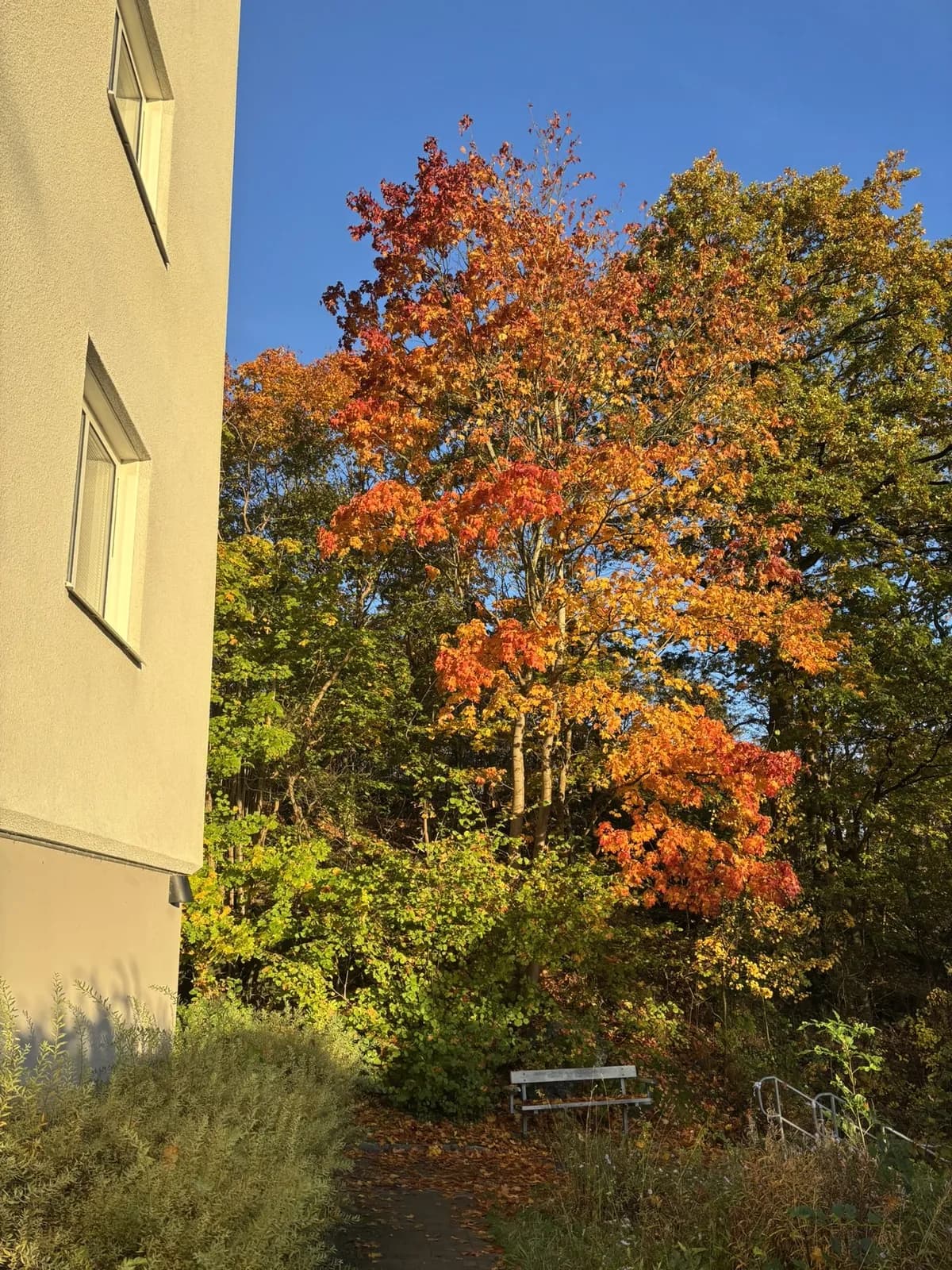 Olof Rudbecksgatan i Göteborg
