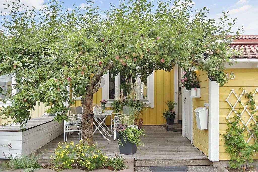 Småbjörksvägen i Spånga