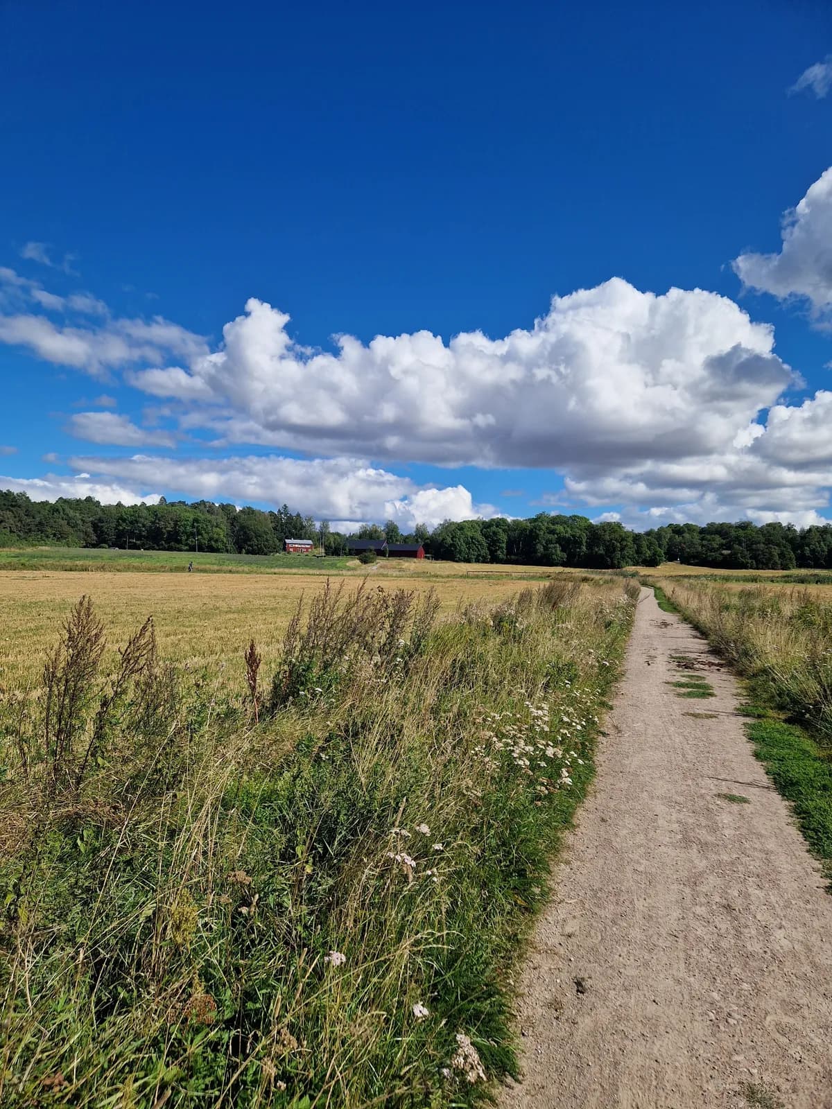 August Södermans väg i Uppsala