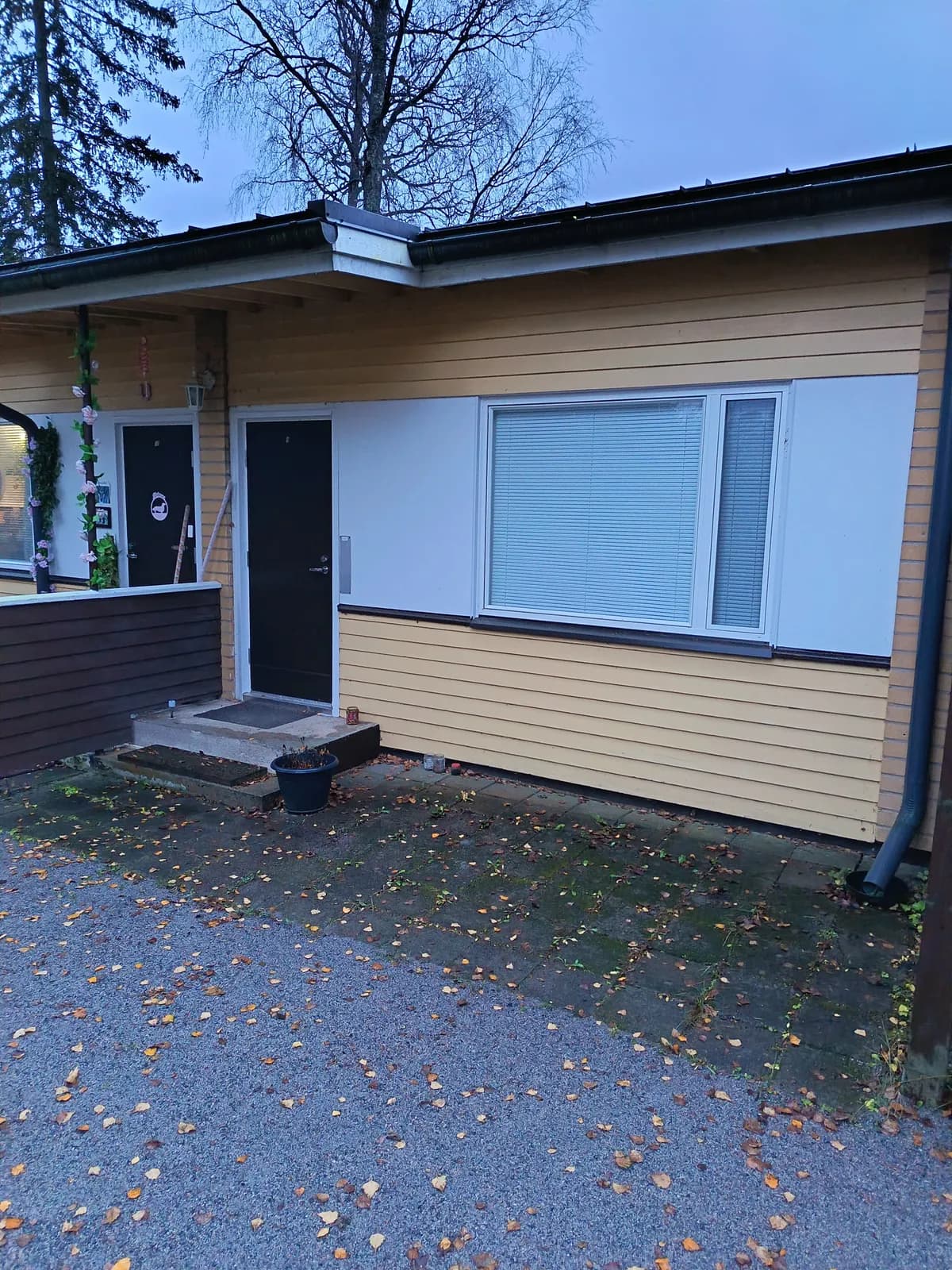 Lehtorinne i Lohja
