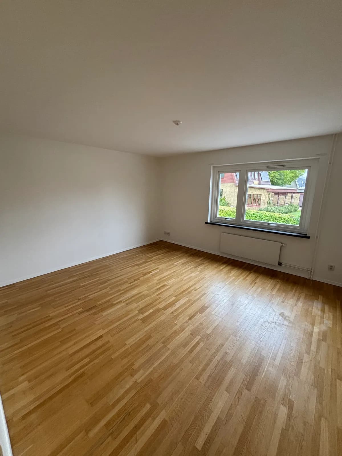 Hånellsgatan i Hässleholm