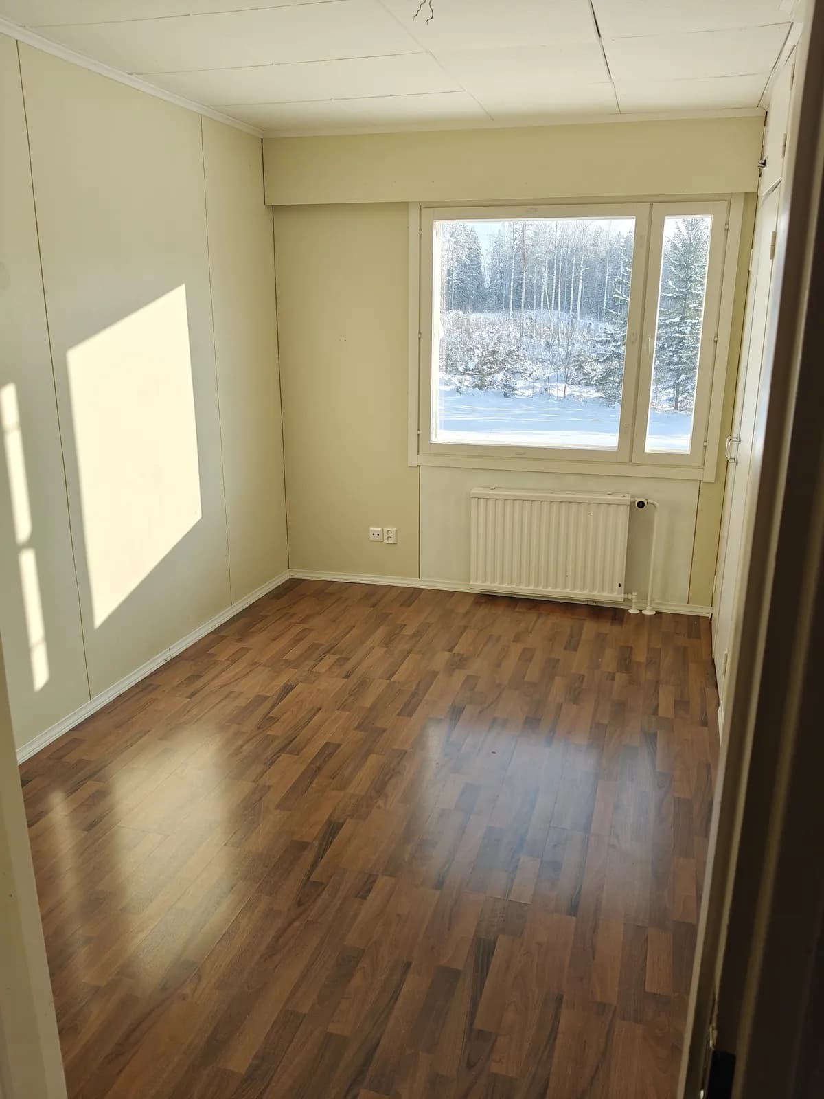 Niskapietiläntie i Rautjärvi