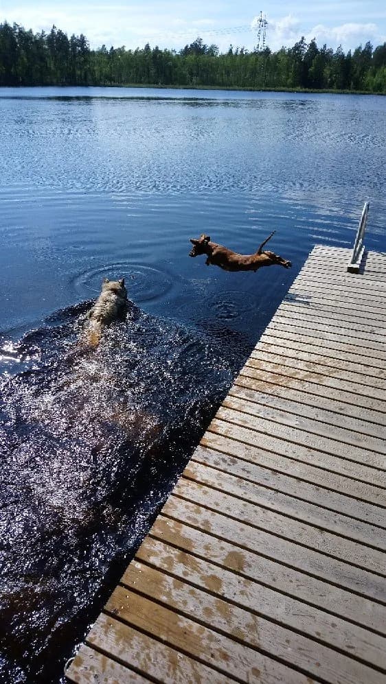 Järvinummentie i Järvinummi
