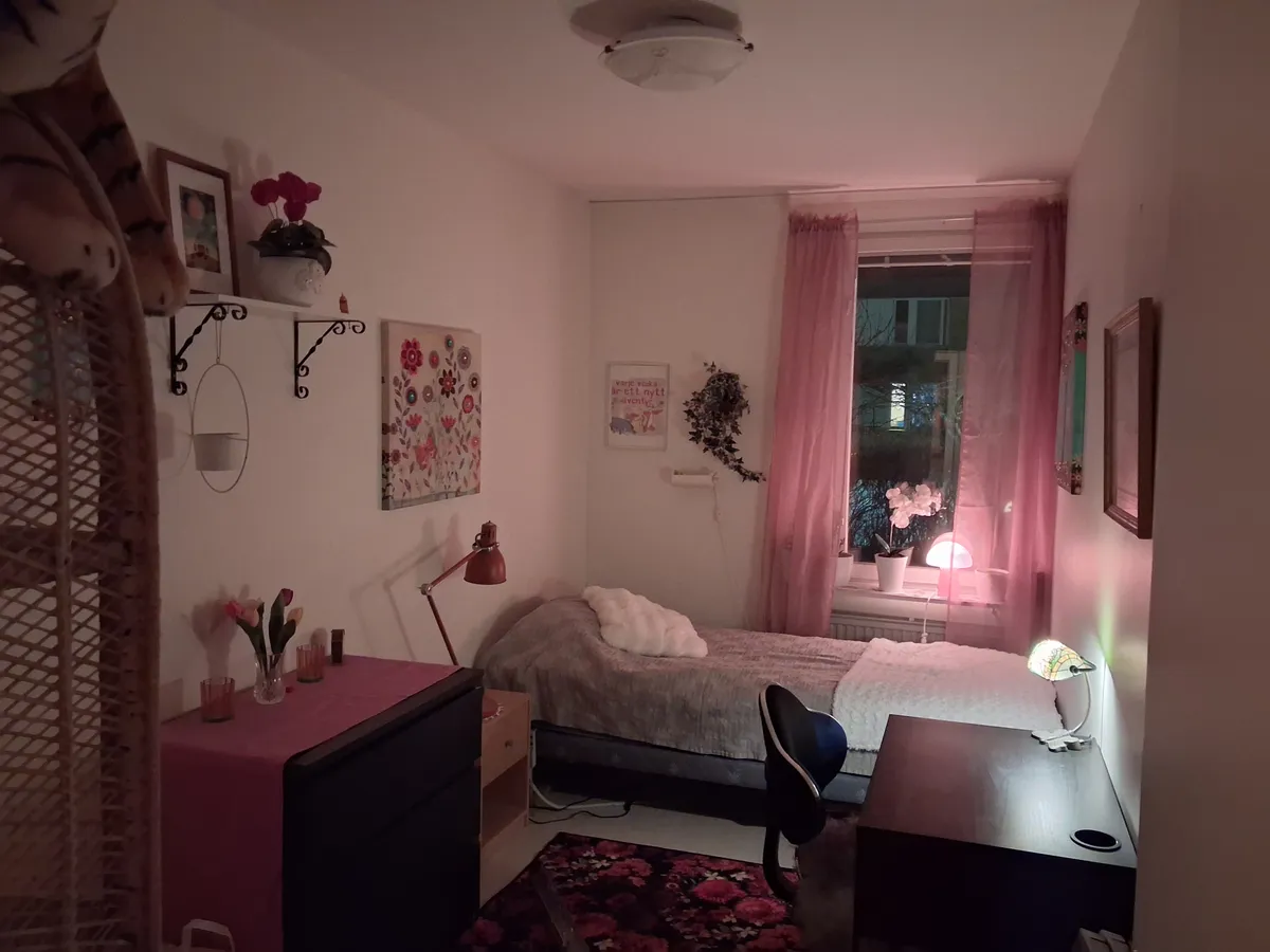 Rydsvägen i Linköping