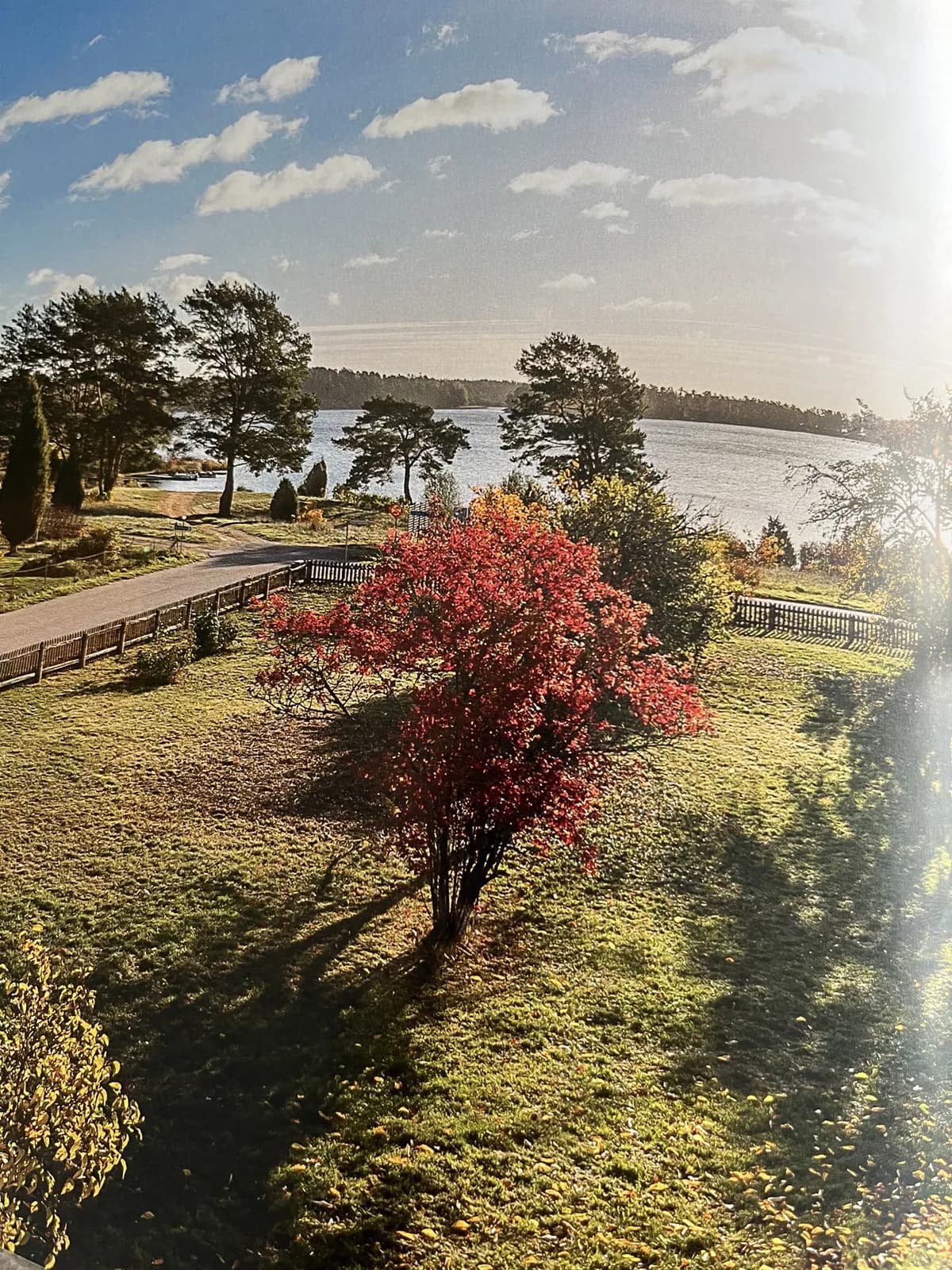 Skogshallvägen i Loftahammar