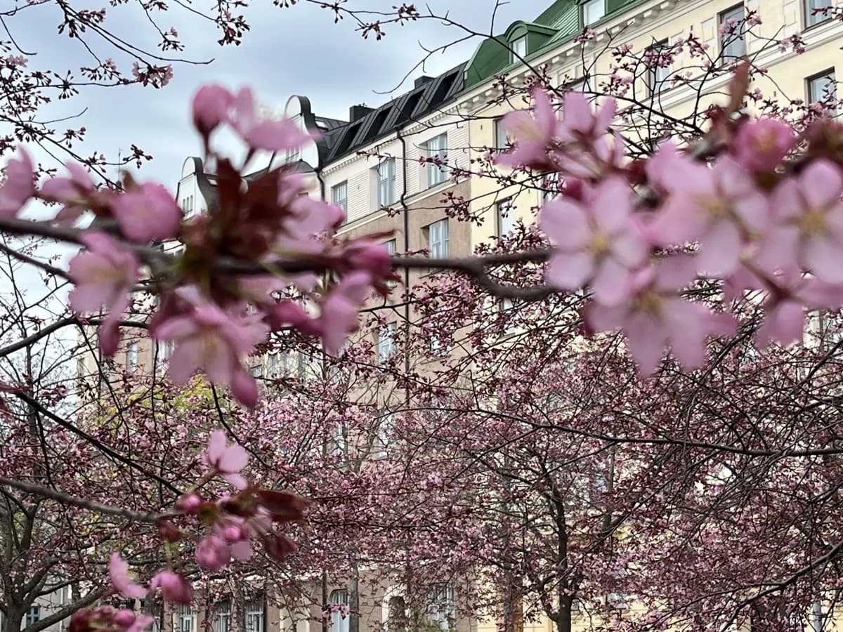 Punavuorenkatu i Helsinki