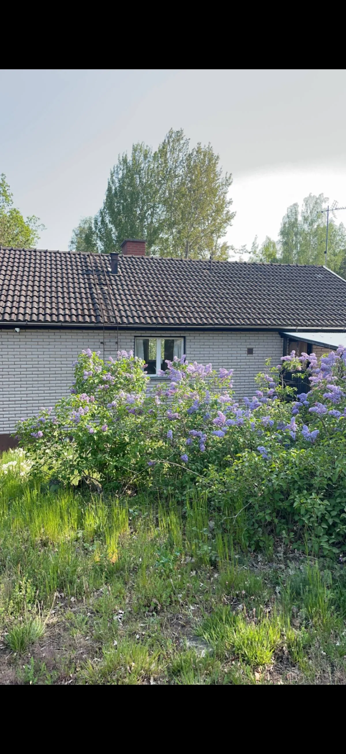 Sturegatan i Oskarshamn