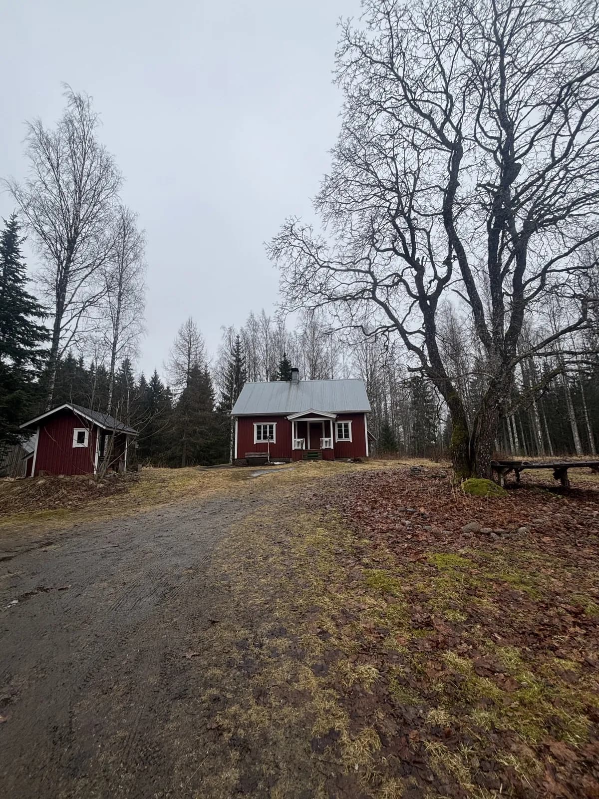 Sinijärventie i Sinijärvenkulma