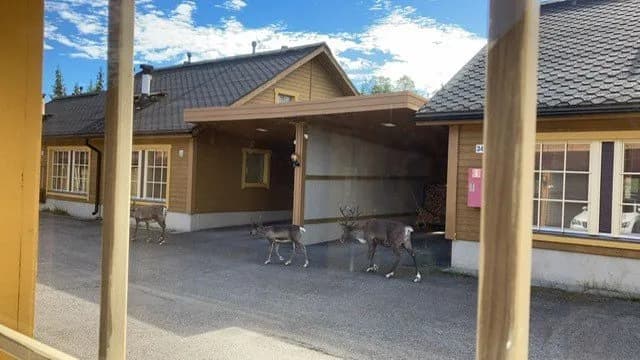 Kirveskuja i Kolari