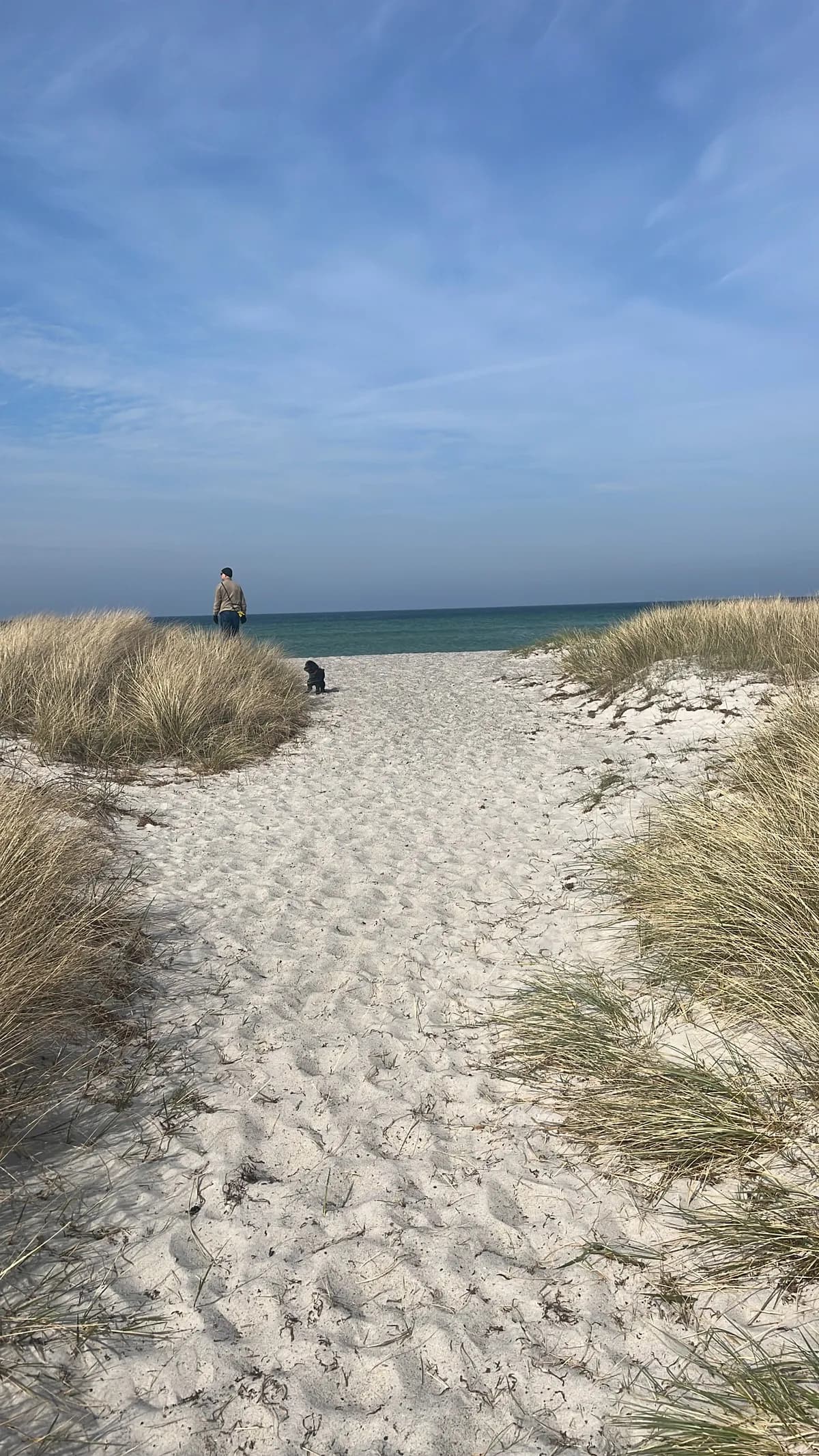 Tärnvägen i Falsterbo
