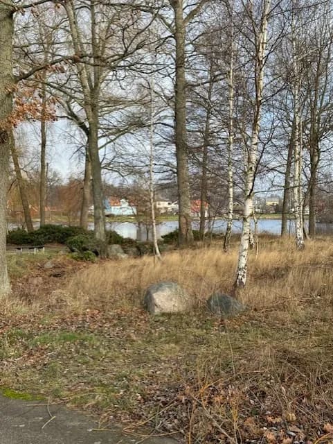 Svalgatan i Torsås