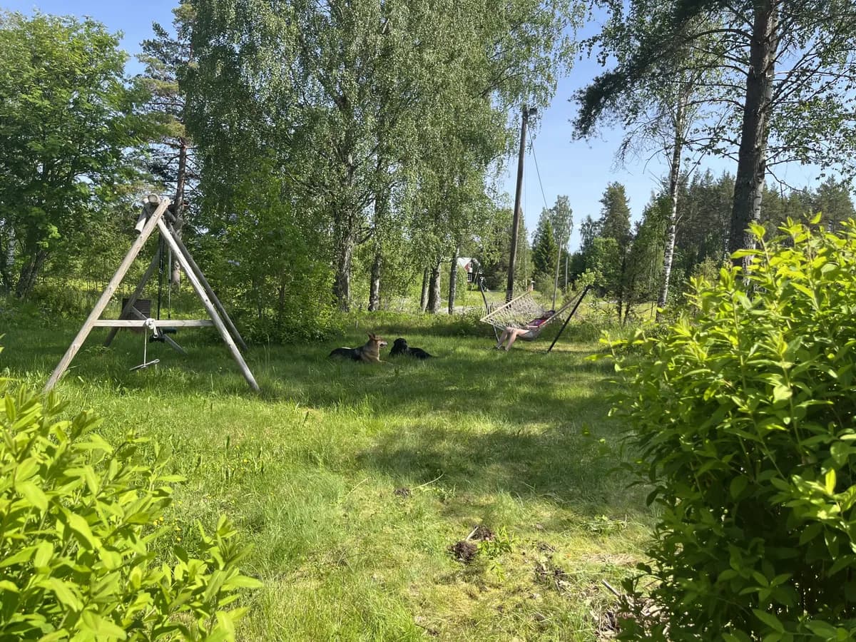 Lindefallet i Enånger