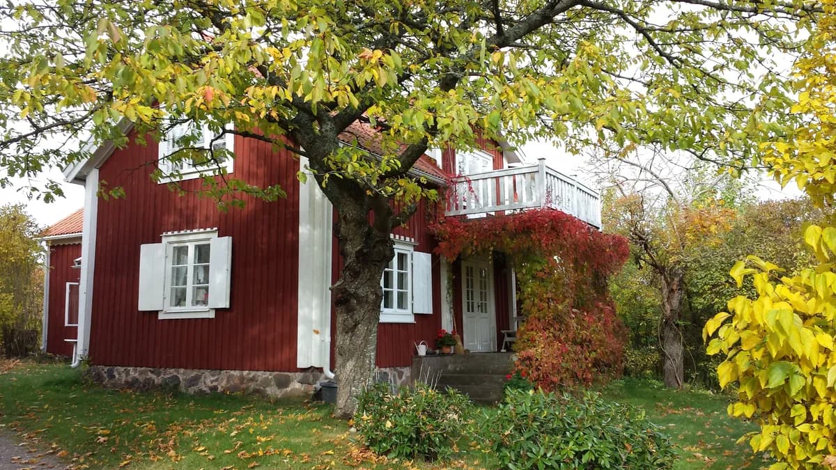 Patamalm i Ålem