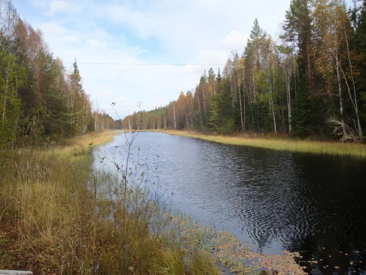 Papinniementie i Ylöjärvi