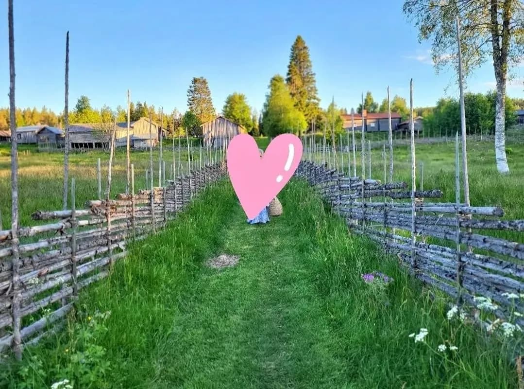 Harsavallsvägen i Järvsö