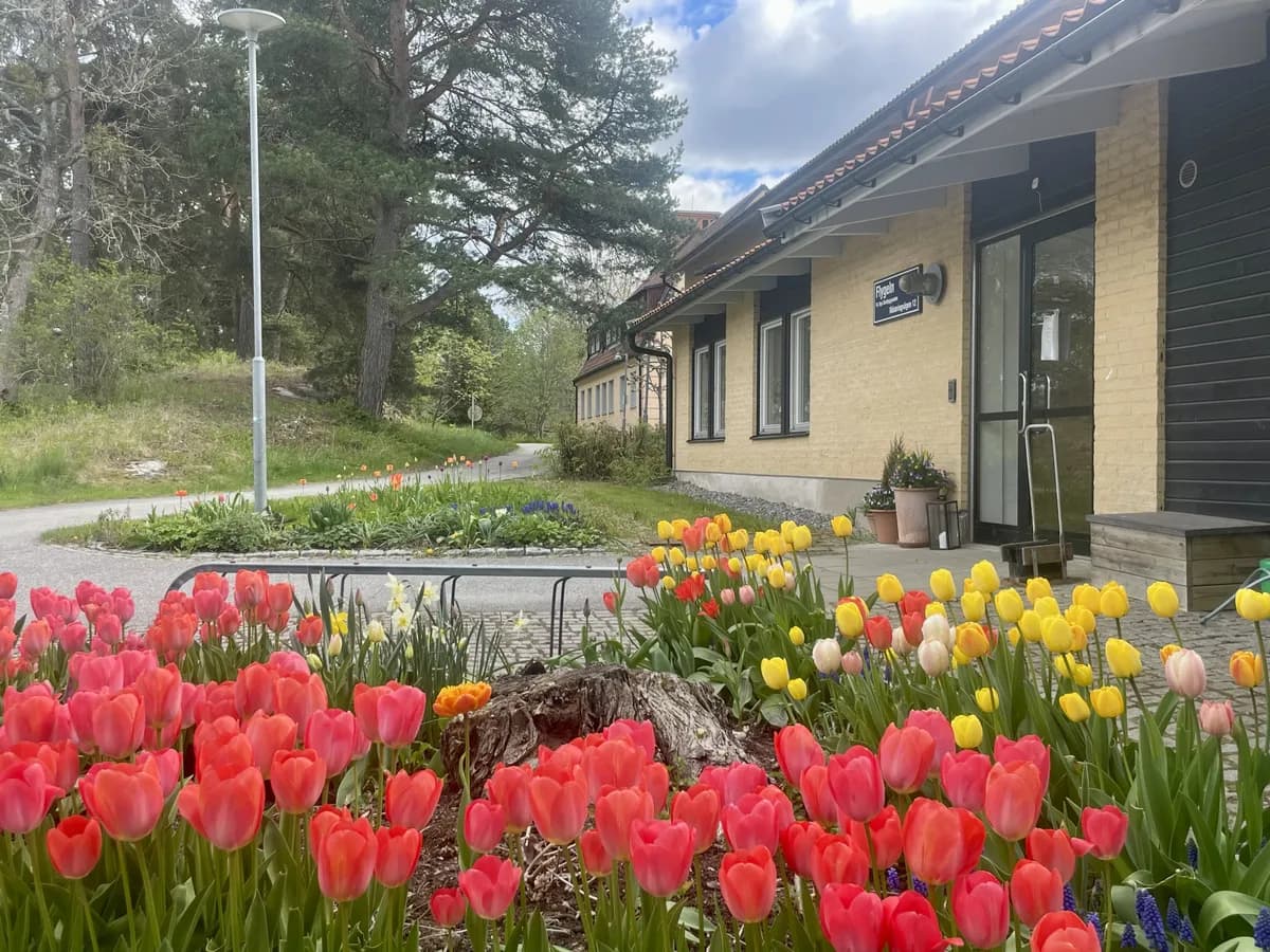 Rösaringvägen i Bro
