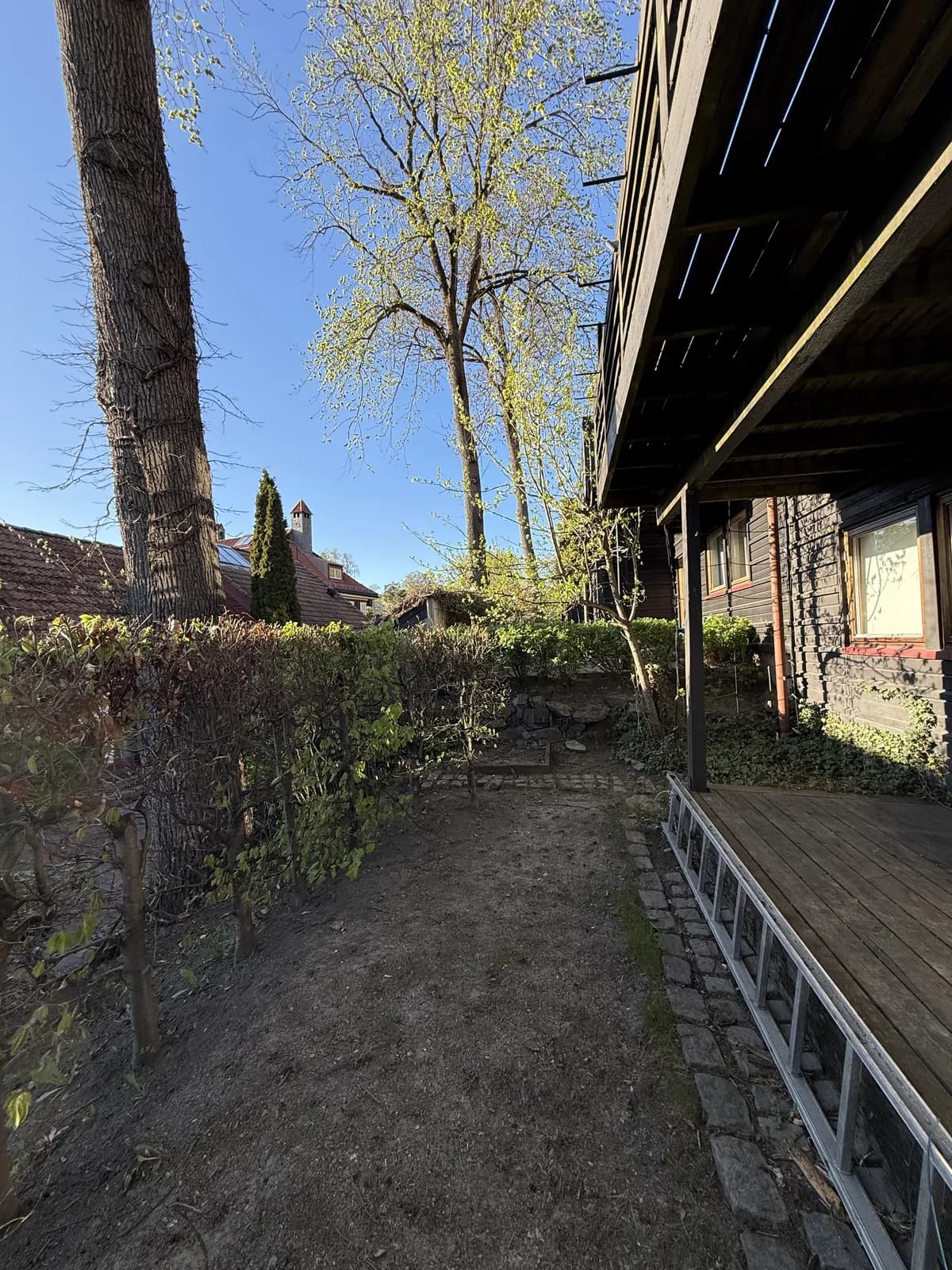 Giskehagen i Oslo