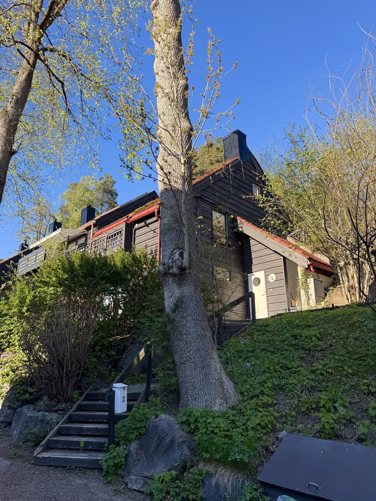 Giskehagen i Oslo