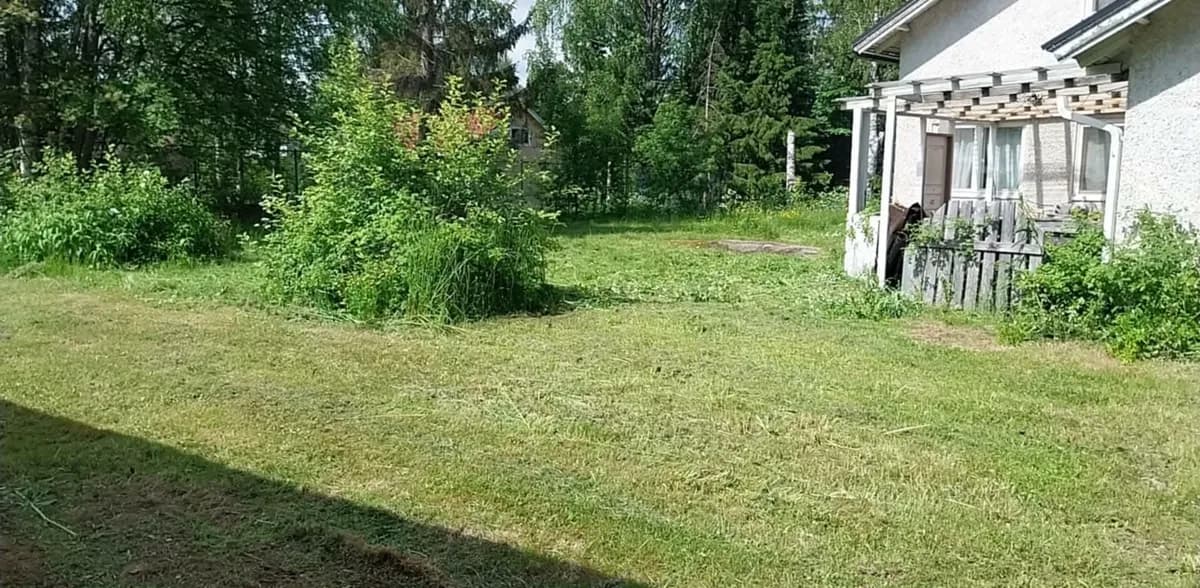 Käpytie i Vaala