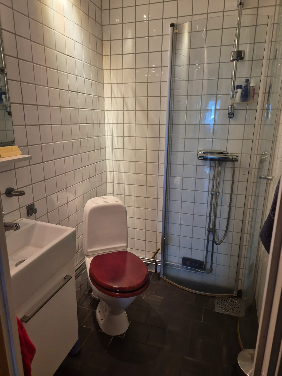 Ripstigen i Solna