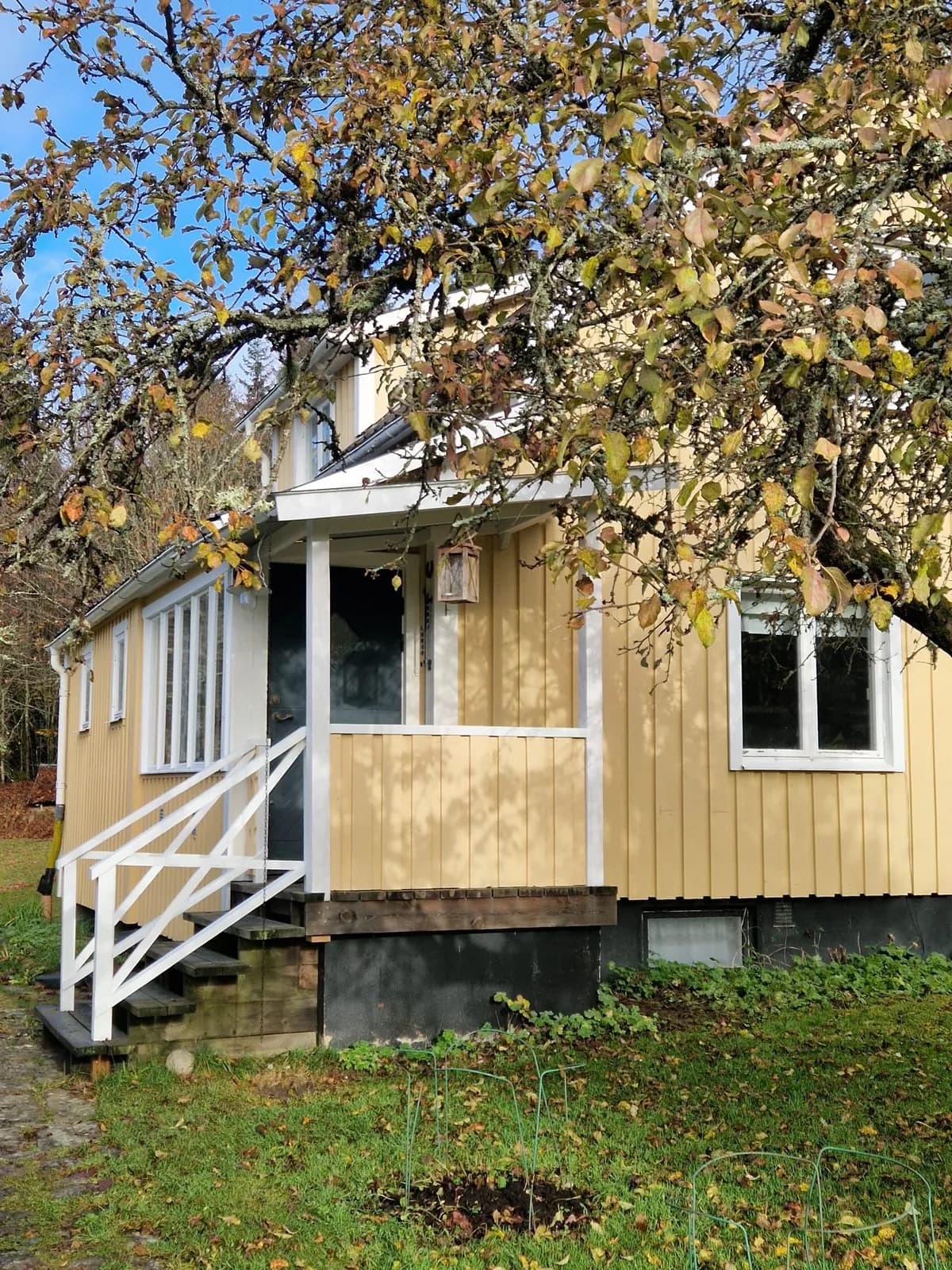 Enebacken i Lakene