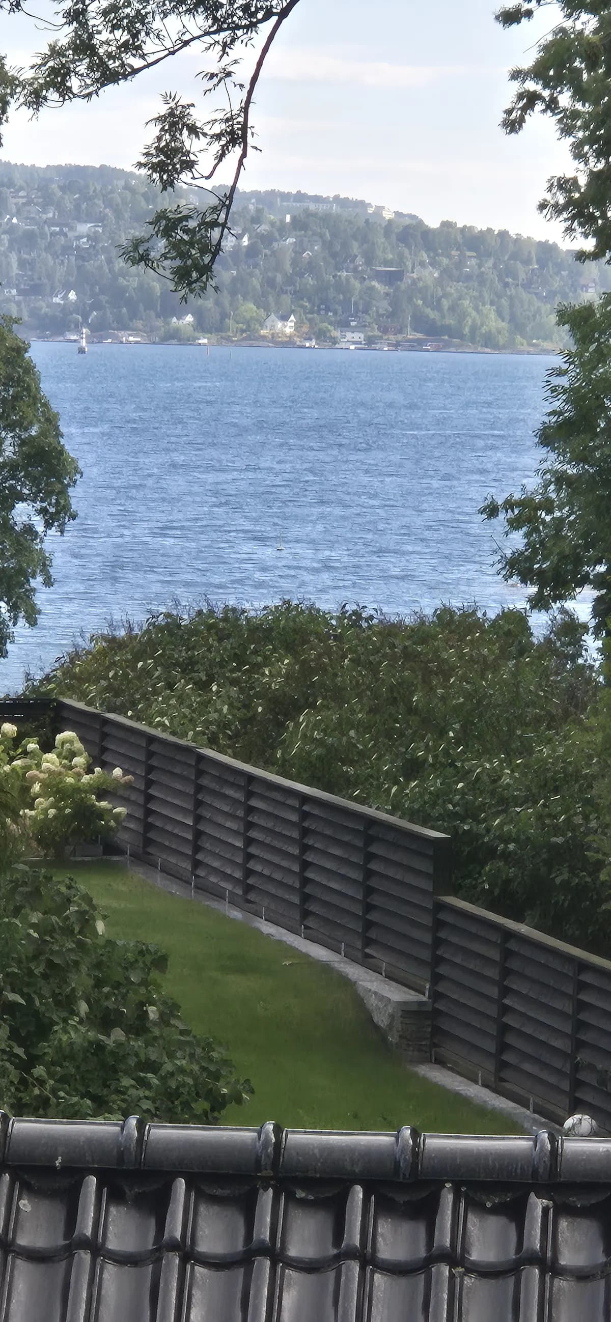 Schiøtts vei i Oslo