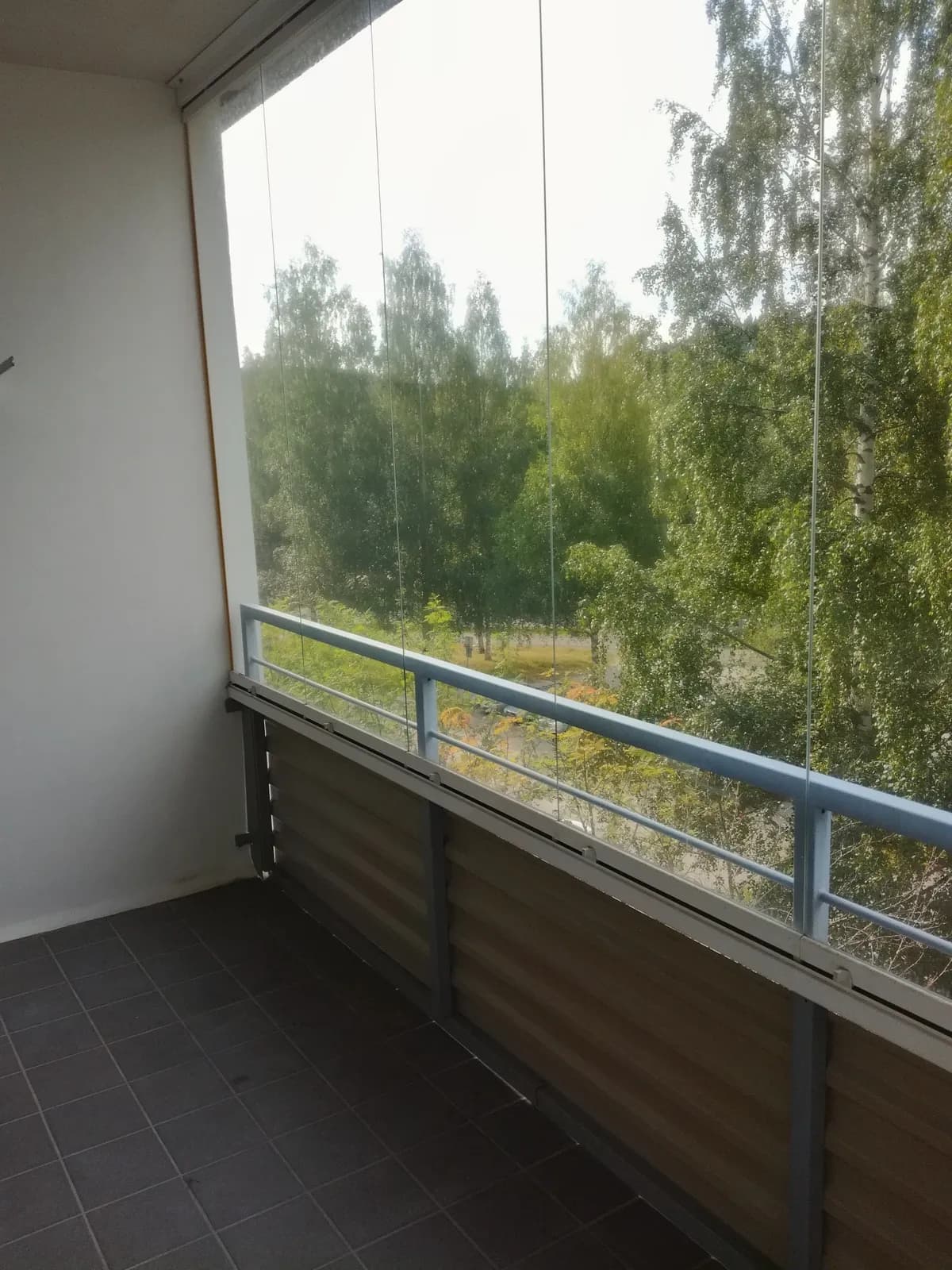 Kaakonkoipi i Jyväskylä