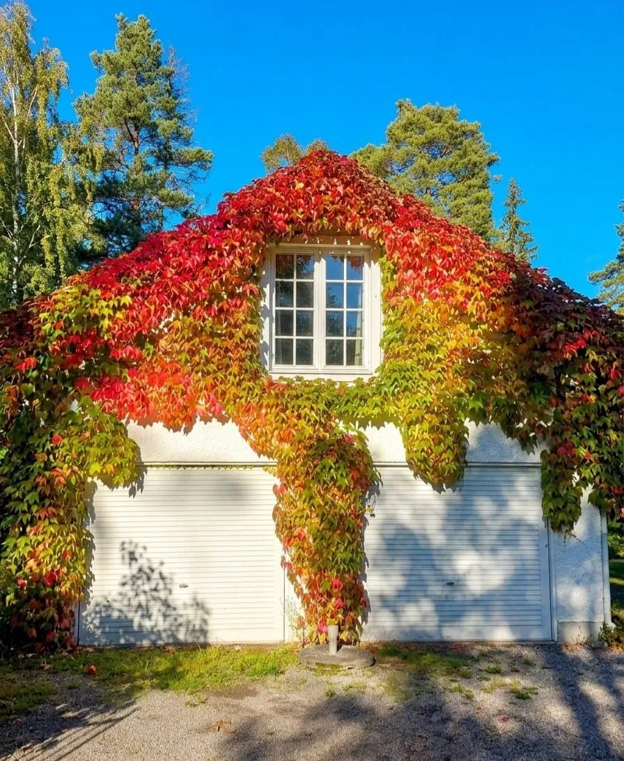 Didriks väg i Värmdö