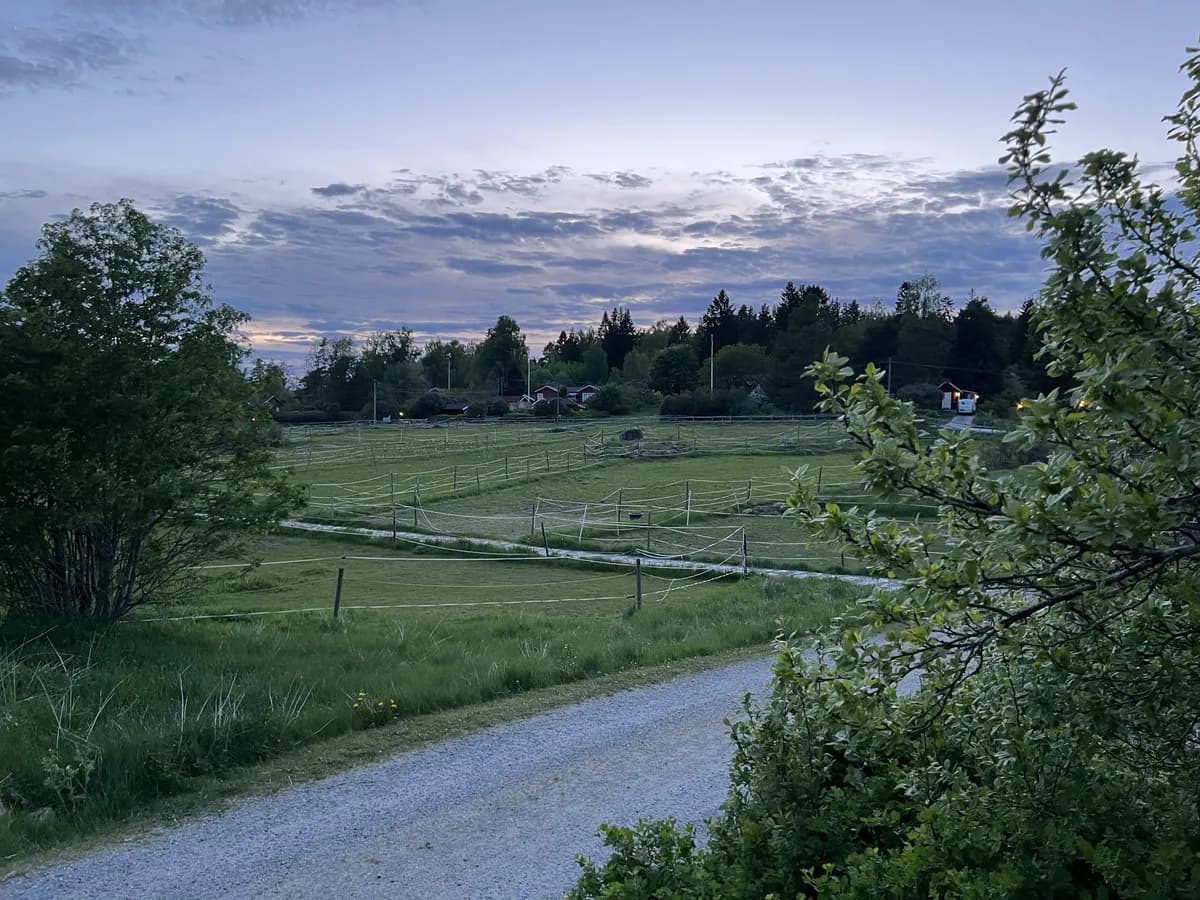 Rörmossevägen i Bergshamra