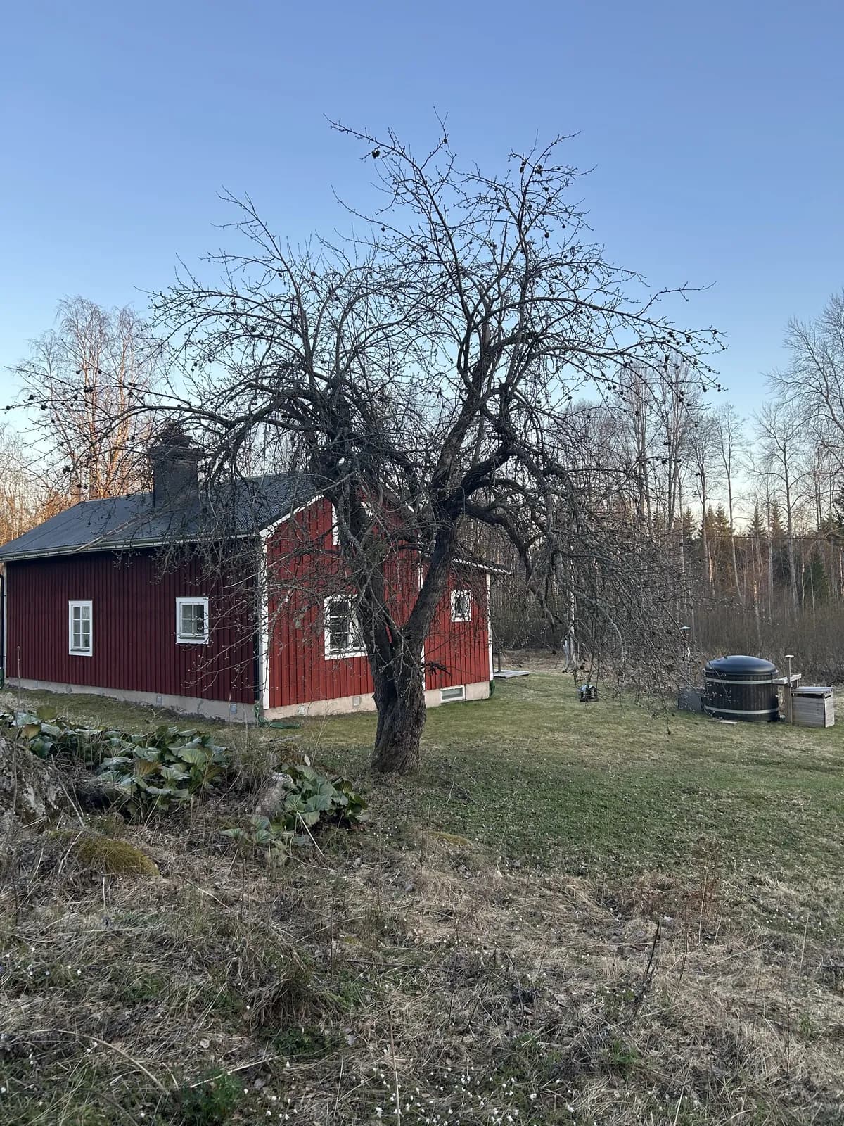Hå i Ljusne
