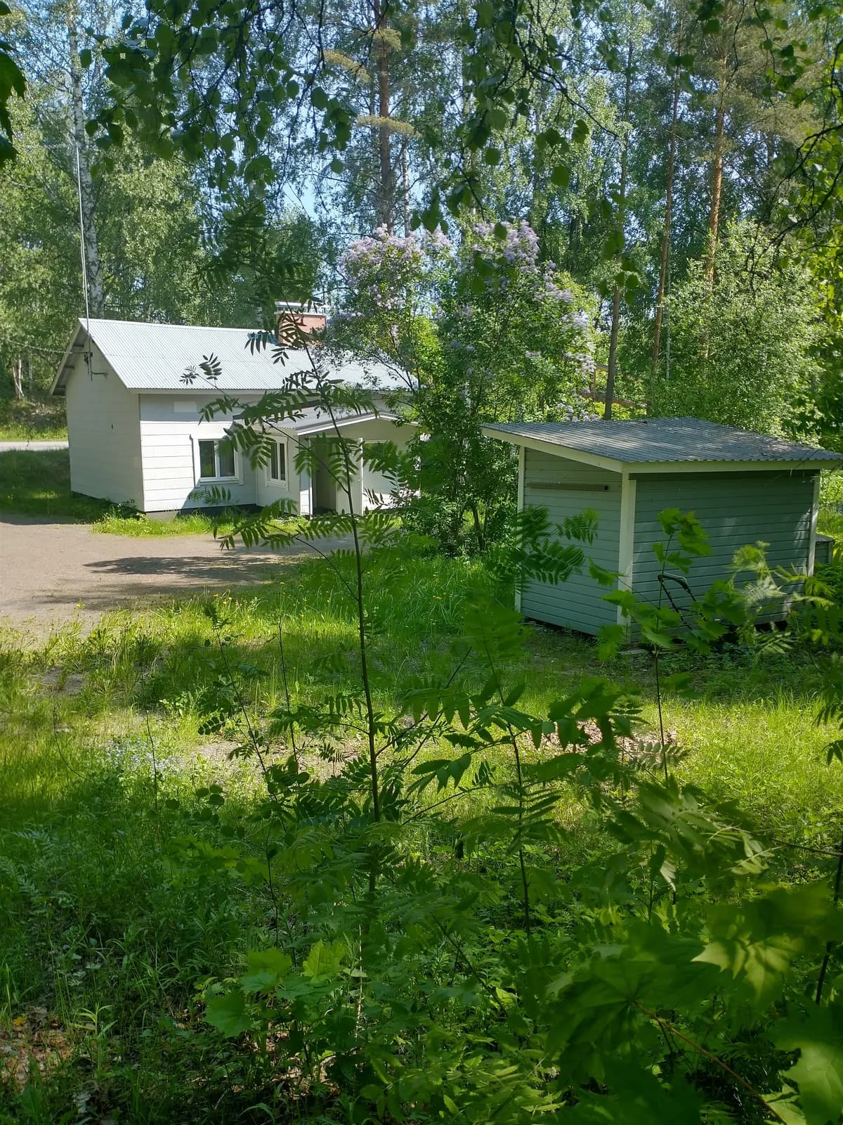 Keisarinkuja i Kitee